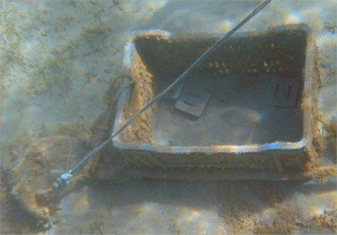 Bleikiste an der ersten Boje